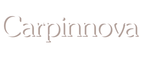 Logo de Carpinnova